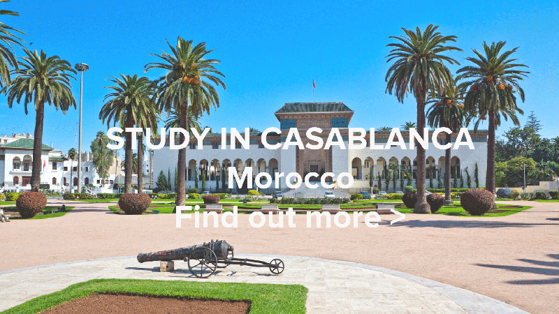 Study In Casablanca Web