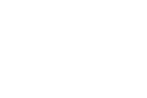Logo Alumni White